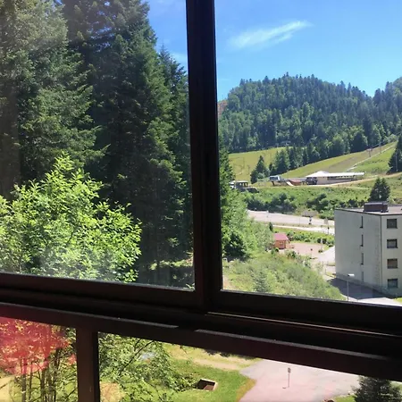 Le 215, Vue Pistes Du Hohneck La Bresse